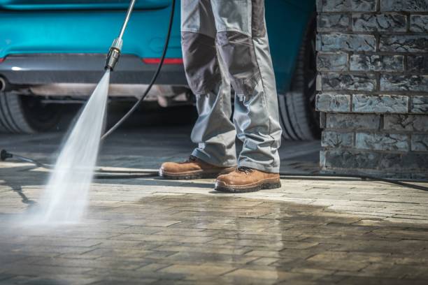 Best Dumpster Area Cleaning  in Ann Arbor, MI
