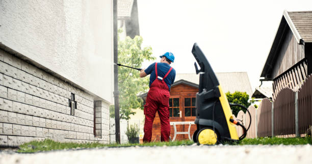 Best Soft Washing  in Ann Arbor, MI